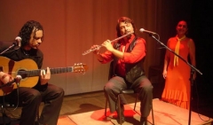 Estúdio aire flamenco