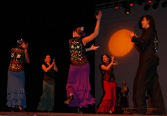 Estúdio aire flamenco