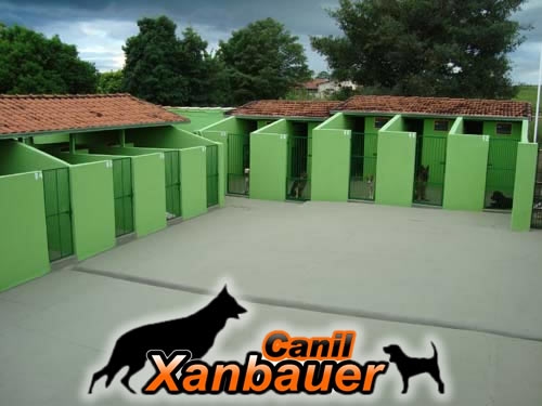 Canil Xanbauer - Instalações