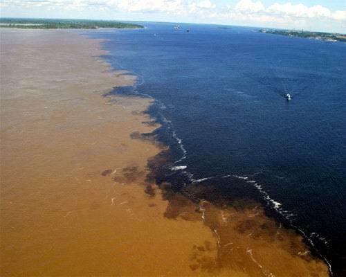 Encontro das Águas em Barco Climatizado