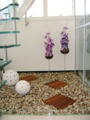 Jardim interno - mc3